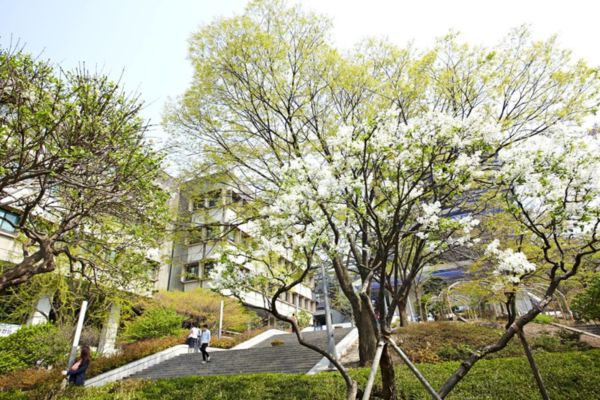 Các thông tin về Đại học Seoul