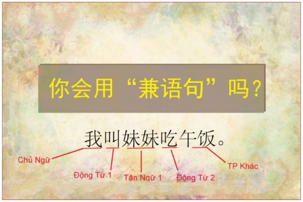 Cấu trúc câu kiêm ngữ trong tiếng Trung